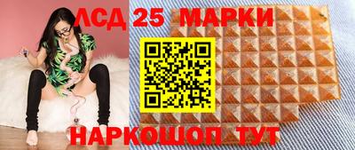 гидра Кандалакша