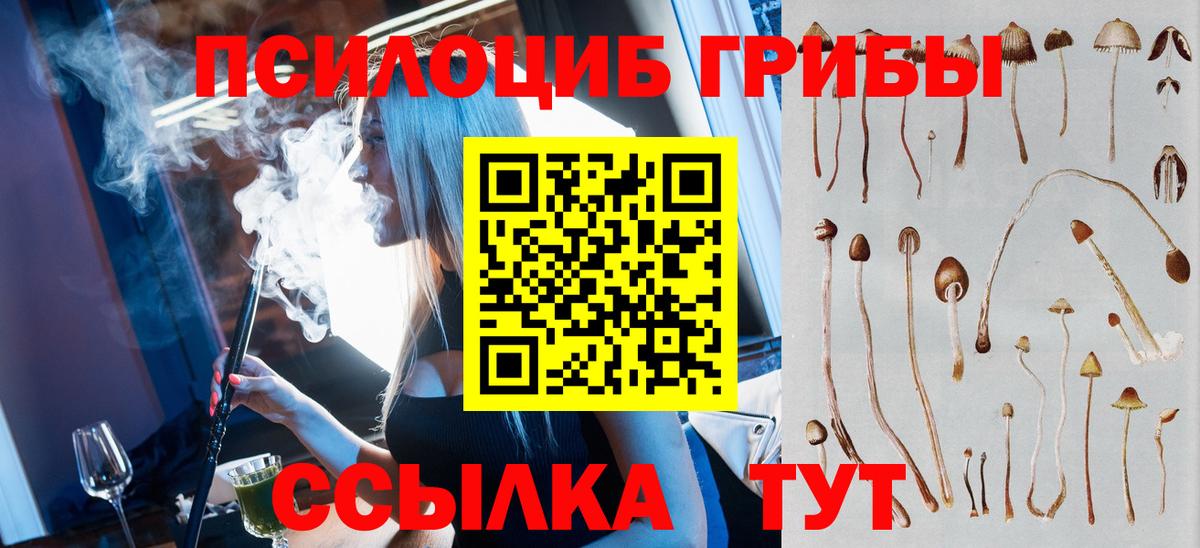 Канаш  Псилоцибиновые грибы Cubensis  Вход с VPN  Псилоцибиновые грибы Psilocybine cubensis 