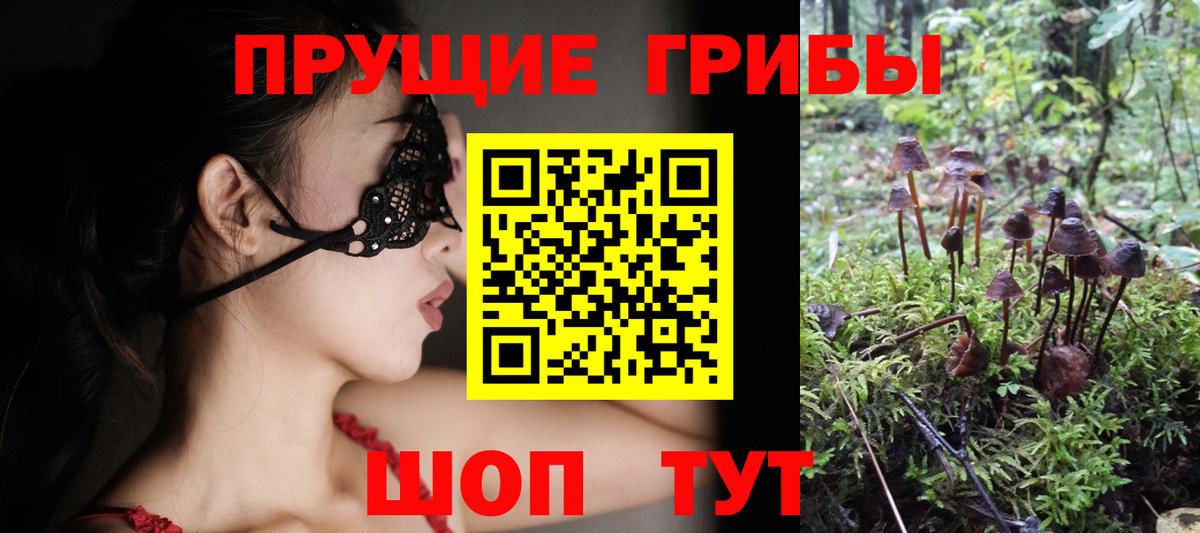 Псилоцибиновые грибы мицелий Канаш